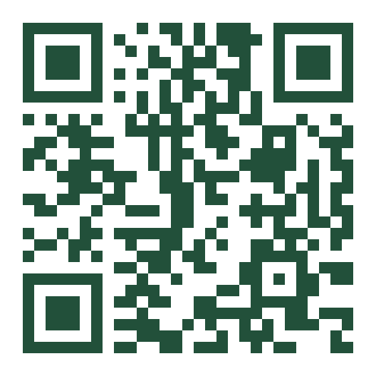 Google Maps QR code