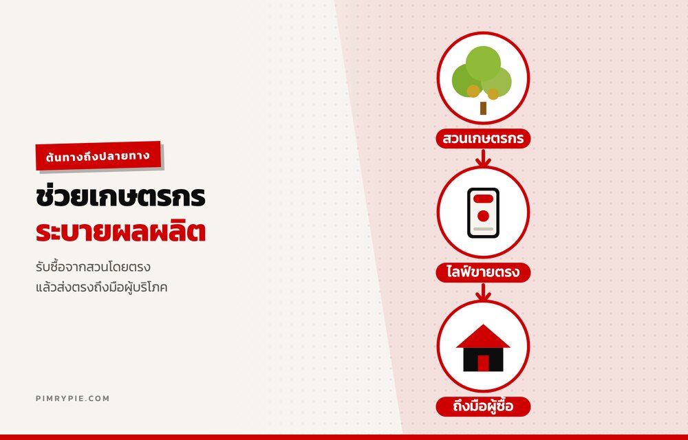 เส้นทางจากสวนเกษตรกร ผ่านไลฟ์ขายตรง ถึงมือผู้ซื้อ